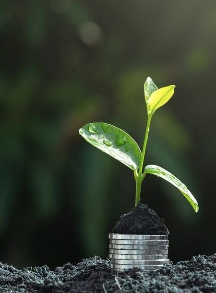 Yeşil Finans Farkındalık Eğitimleri